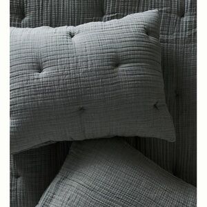 Anthropologie Elysian Cross-Dyed Gauze Sham